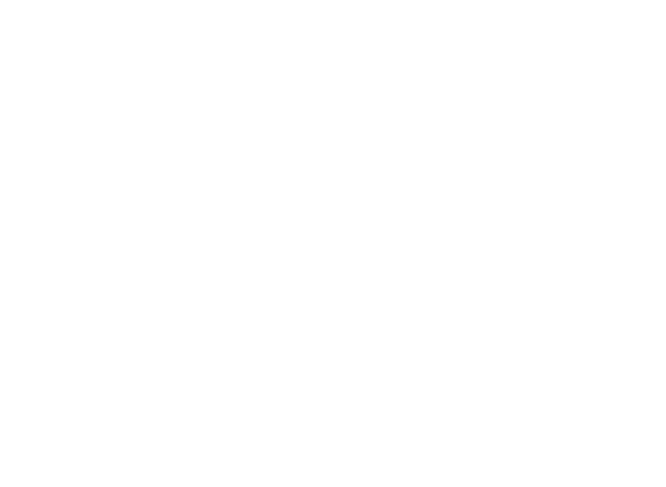 TramutoPorter Foundation
